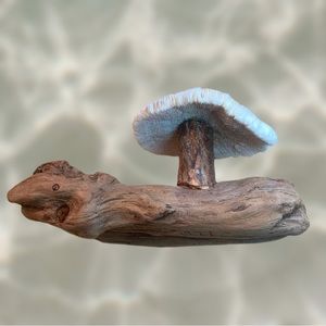 Vintage 1977 Driftwood & Coral Mushroom Sculpture Display Collectible 5” x 8”